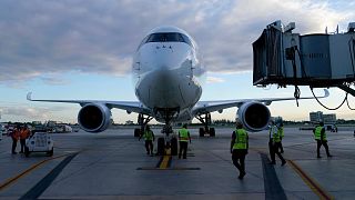 Germany's airline Lufthansa said it was halting flights to Ukraine from Monday, joining KLM which has already done so.