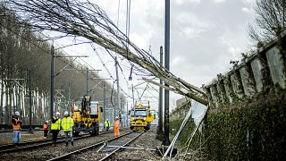 Workers carry out repair work on an overhead line and a railway in Maarssen on February 19, 2022, after Storm Eunice hit northern Europe. 