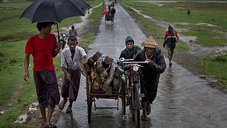 Власти Мьянмы обвиняются в Гааге в геноциде рохинджа