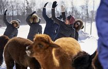 Kim Solga takes part in a Snow Yoga with Alpacas class at Brae Ridge Farm and Sanctuary near Guelph, Ontario, on February 20, 2022.