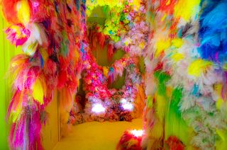 A new art exhibition at Rome's Choistro del Bramante building, lets visitors revel in colourful, rebellious madness