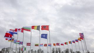 A NATO, és a NATO tagállamainak zászlói