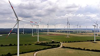 The 'Odervorland' wind farm is pictured in Jacobsdorf near Frankfurt an der Oder, Germany, Friday, June 25, 2021.