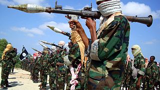 Al-Shabab spent $24m on weapons last year 