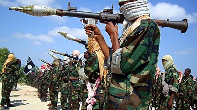 Al-Shabab spent $24m on weapons last year