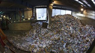 Only nine percent of plastic recycled worldwide: OECD