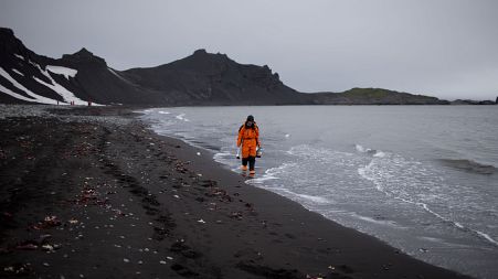 Antarctica's white landscape is turning dark in the area where thousands among tourists and researchers flock every summer.