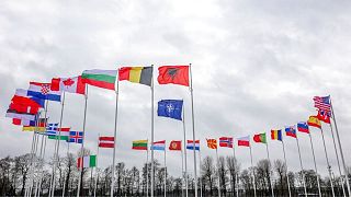 Flags of NATO member countries