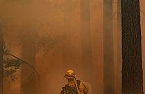 Tűzoltó küzd a lángok megfékezésén egy kaliforniai erdőben