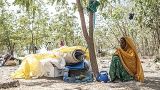 Éthiopie : dans le conflit au Tigré, les oubliés de la région d'Afar