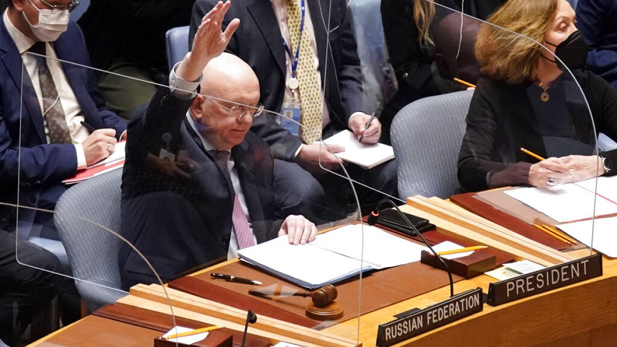 Ukraine war: Russia vetoes UN Security Council motion 'deploring' invasion