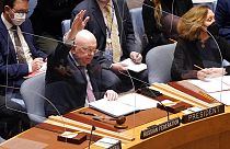 Embaixador Vasily Nebenzya vota isolado no Conselho de Segurança