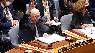 Ukraine war: Russia vetoes UN Security Council motion 'deploring' invasion