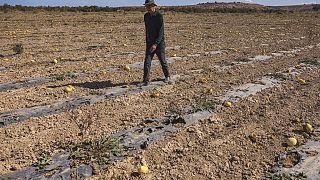 Maroc : la sécheresse à l'origine d'un exode rural