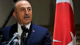 Dışişleri Bakanı Çavuşoğlu, Ukrayna topraklarındaki durumun "savaş"a dönüştüğünü ve Montrö Sözleşmesi'nin "bütün hükümlerini şeffaf bir şekilde uygulayacaklarını" söyledi.