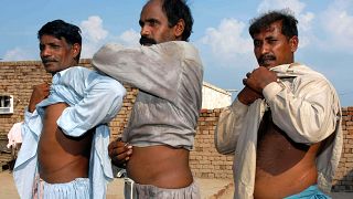 Afegãos vendem rim para salvar as famílias