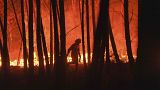 Un pompier lutte contre un incendie au Portugal - Septembre 2020