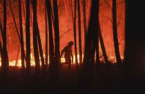 Un pompier lutte contre un incendie au Portugal - Septembre 2020