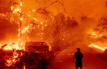 ABD'nin Kaliforniya eyaletinde çıkan ve yerleşim alanlarını da küle çeviren orman yangını (2020)