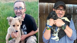 Andrea Cisternino with some of his stray animals.