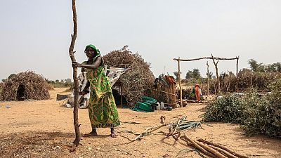 Cameroun : le climat exacerbe les conflits entre Arabes et Mousgoums