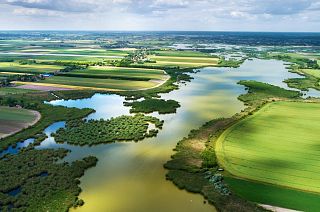 We must protect nature's biodiversity at every cost.