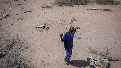 Réchauffement climatique : la situation va empirer en Afrique