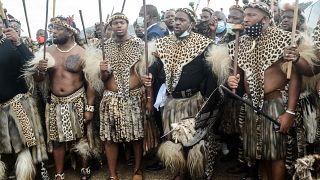 Afrique du Sud : le couronnement du prochain roi zoulou est approuvé
