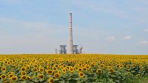A coal power plant in a sunflower field in the Balkans, Europe.