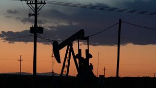 Цены на нефть обновили девятилетний максимум