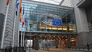 Wer waren die Nein-Sager zur Russland-Resolution im Europäischen Parlament?