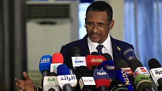 Sudan welcomes military base agreement with Russia in the Red Sea