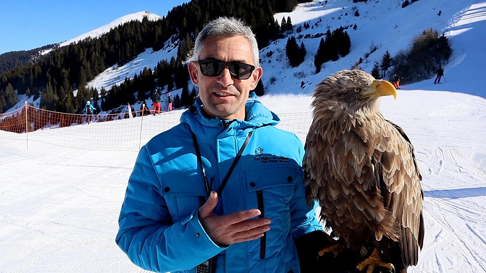 « Je suis un skieur d’aigle » : rencontrez le skieur qui a ramené des oiseaux de l’extinction