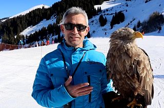 Over 80 white-tailed eagles will be reintroduced to the French Alps over the next eight years