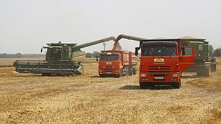 Küresel buğday fiyatları yıl başından bu yana yüzde 37 artarken 2021 yılında yüzde 20'nin üzerinde artan mısır fiyatları da 2022'de şu ana kadar yüzde 21 yüseldi