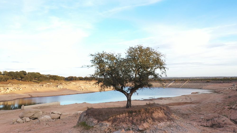 Portugal: Como a tecnologia está a ajudar os agricultores a lidar com a seca