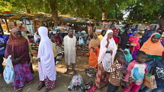 Displaced Nigeriens facing severe hardship - ICRC