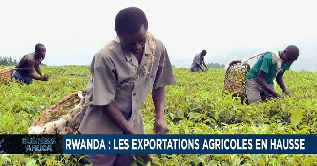 Rwanda : les exportations agricoles en hausse [Business Africa]