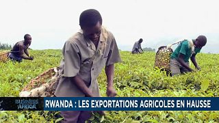 Rwanda : les exportations agricoles en hausse [Business Africa]