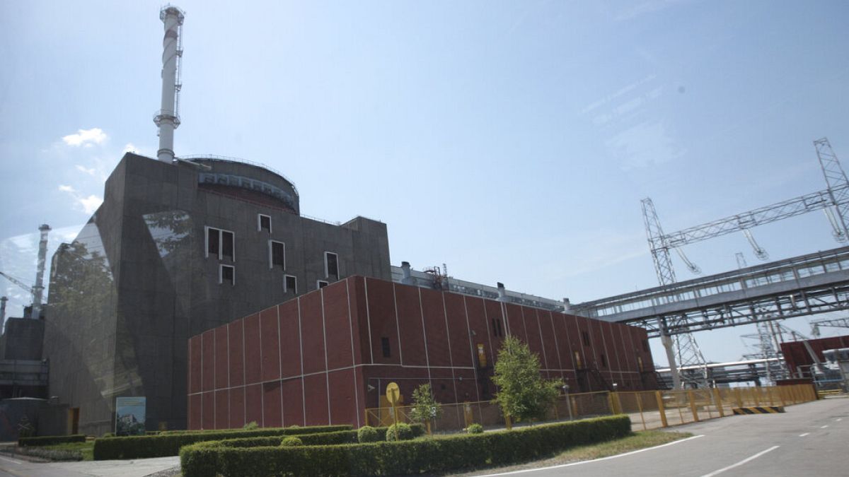 Nuclear reactor Zaporizhzhia (file photo)