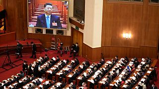 Çin Ulusal Halk Kongresine