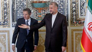 رافائل گروسی و حسین امیرعبداللهیان در تهران