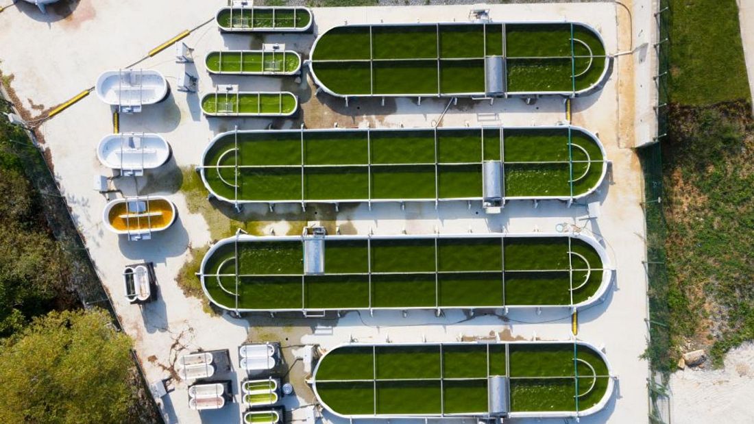 A radical, carbon negative project in Turkey