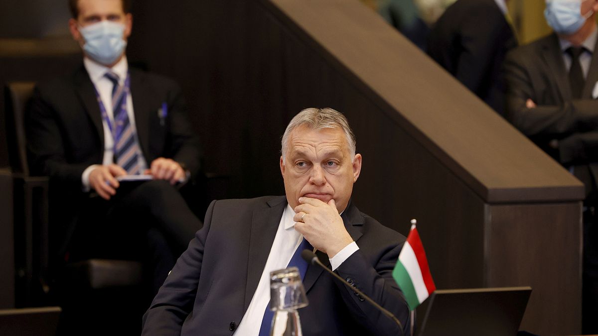 Viktor Orban, pictured at a NATO leaders virtual summit at NATO headquarters in Brussels.