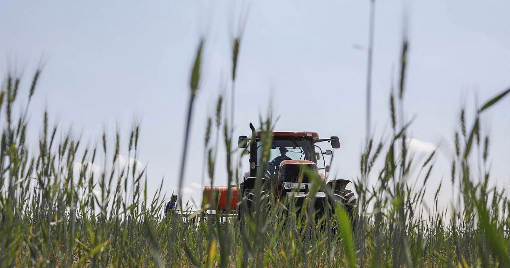 Afrique du Sud : le secteur de l'agriculture redynamise l'économie 