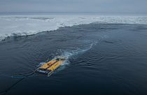 Antartide: trovato il relitto del mitico battello Endurance