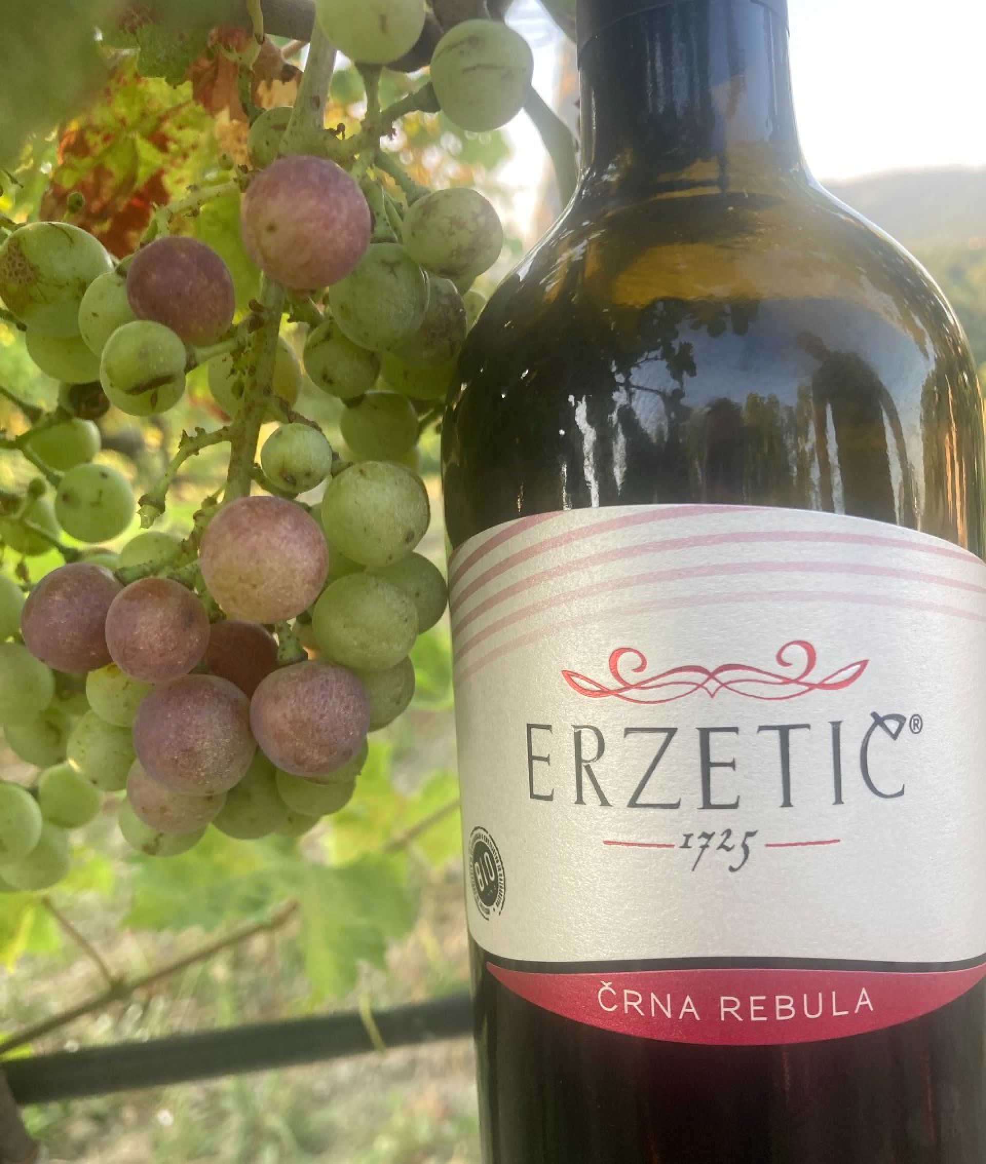 The Next Generation: Why Slovenian wine is the one to watch for 2022 ...