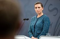 Denmark's Prime Minister Mette Frederiksen had written a letter of apology to the children in 2020