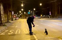 Budapeşte sokaklarında penguen