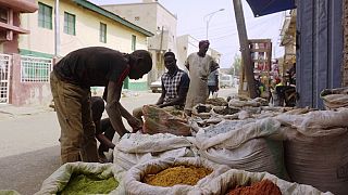 Nigeria : le boom des plantes médicinales face aux prix des médicaments
